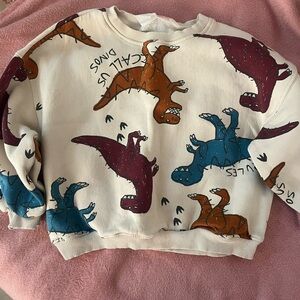 Zara Multicolor Dinosaur Kids Sweatshirt